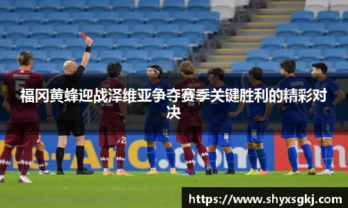 福冈黄蜂迎战泽维亚争夺赛季关键胜利的精彩对决
